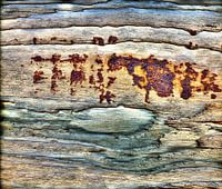 Old driftwood with rust