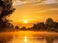 Sunrise in the Biesbosch