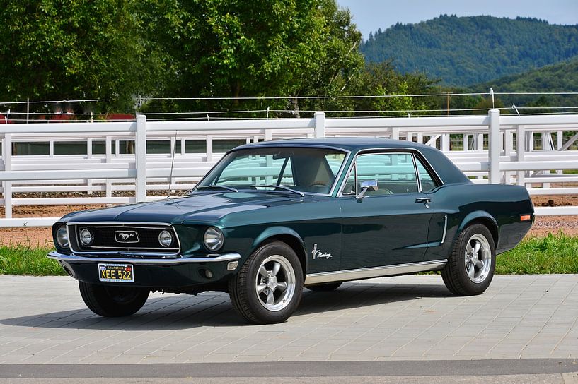 Ford Mustang 1968 Coupe von Ingo Laue