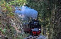 HSB 99-6001 Selketalbahn