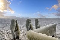 Winter auf dem IJsselmeer