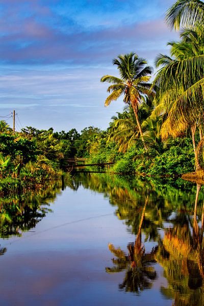 Fluss bei der Plantage Bakkie von René Holtslag