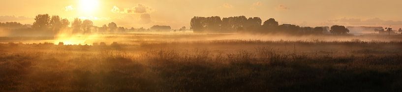 Les boîtes de conserve par patrick verweire