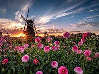 Sonnenuntergang auf der Piepermolen in Rekken