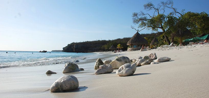 Cas Abao Curacao  von Carolina Vergoossen