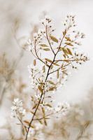 Schöne natürliche Farben