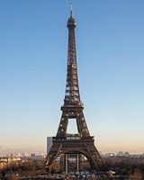 Paris La Tour Eiffel Portrait