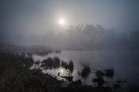 Nevelige zonsopkomst