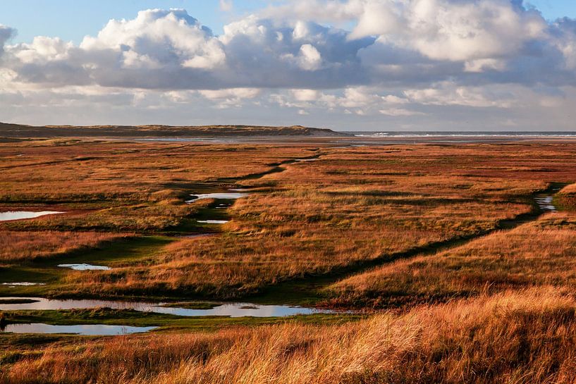 Landscape of the Slufter on Texel in warm evening light by Simone Janssen