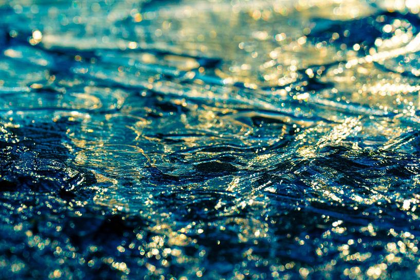 Zusammenfassung aus Nature 1 von Fred Schuch