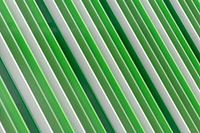 Parallelism of green straight lines I