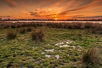 Polder in avondrood
