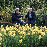 Eine typisch niederländische Szene im Keukenhof.