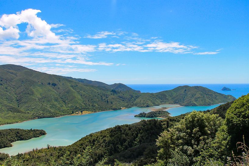 Marlborough Sounds aus Neuseeland von Lizette Schuurman