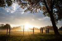 Verträumte Nebellandschaft in der Brabanter Landschaft