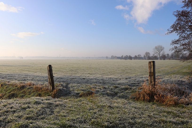 winter frost landscape by Eline Sijtsma