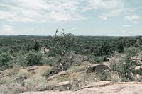 Skyline von einem Hügel