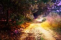 Übernatürlicher bunter Waldweg