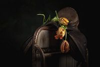 Französische Tulpe 1