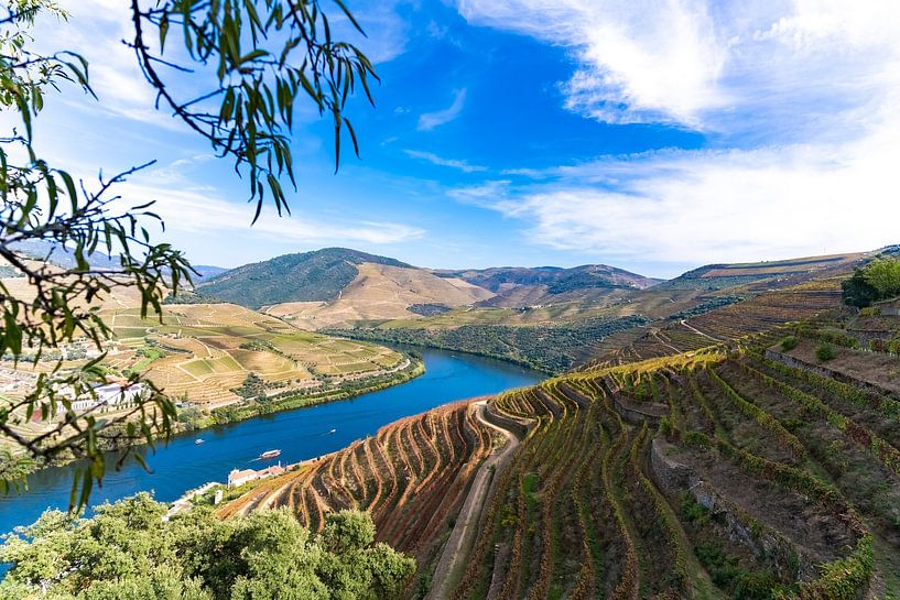 Travelogue: Porto and wine region along the Douro river by Mark Litjens Art