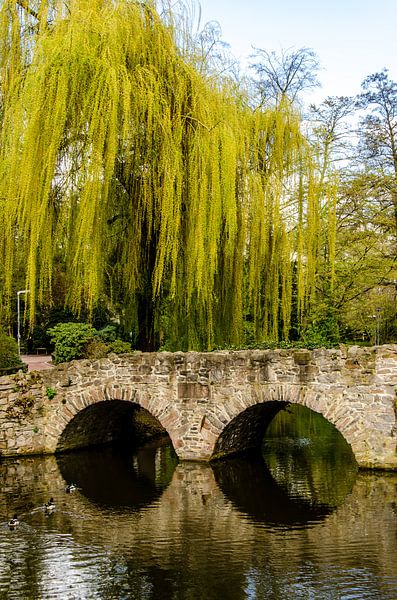 Brücke mit Trauerweide von Dieter Walther