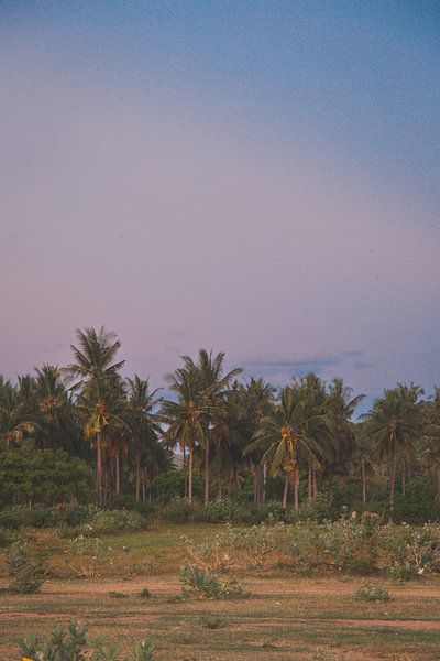 LIVING UNDER THE PALM TREES van Anne Sophie Frencken