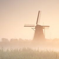 Kinderdijk im Nebel