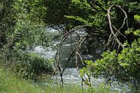 Vue sur le cours d'eau