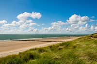 The Zeeland Coast