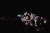 Fallen flowers still life