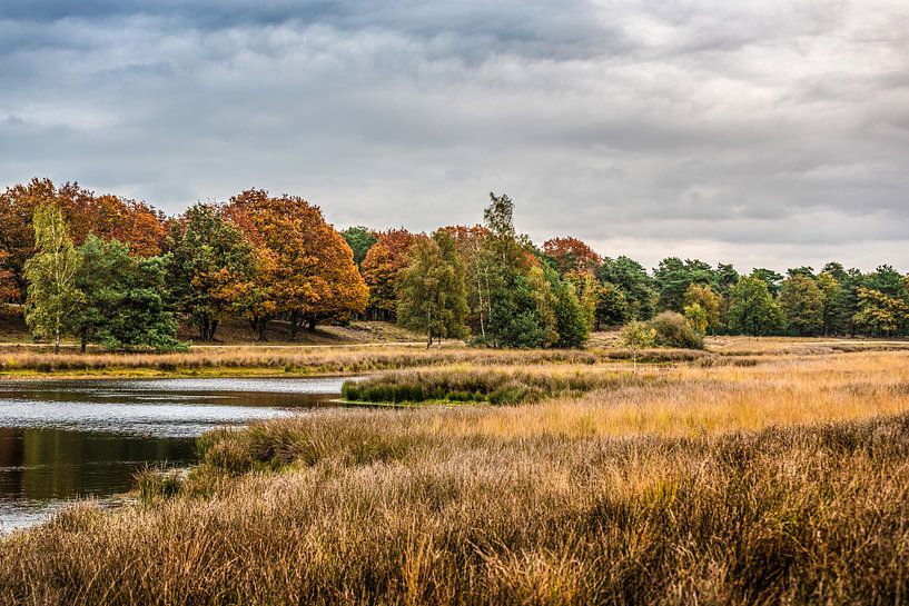 Herbstliche Landschaft von Bas Fransen