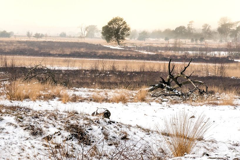 Schneelandschaft von Gonnie van de Schans