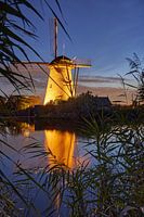 Lighting week at Kinderdijk