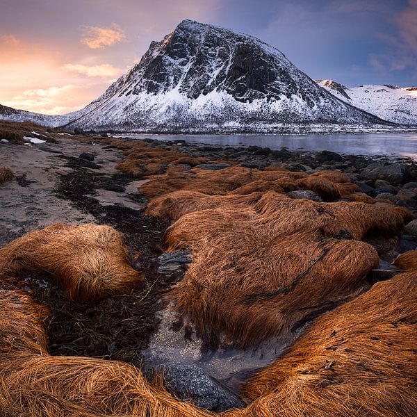 Senja par Esmeralda holman