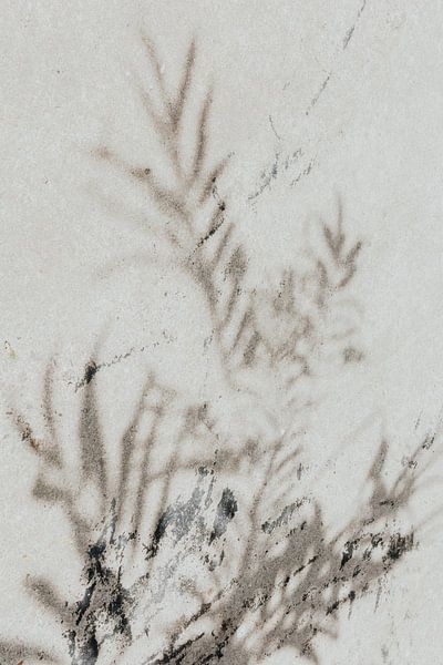 Sommerschatten von Blättern an der Wand von pauline smale