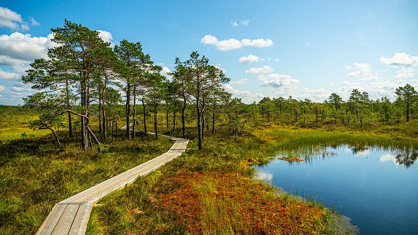 Soomaa-Nationalpark von rosstek ®