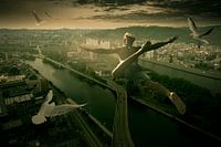 Männchen/Junge mit weißen Tauben fliegen gemeinsam über Bressoux in Belgien. Farbe