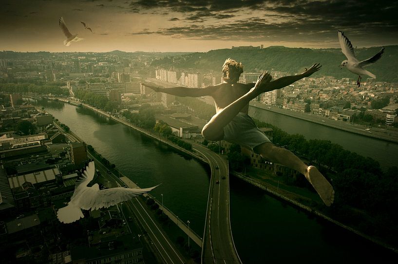 Männchen/Junge mit weißen Tauben fliegen gemeinsam über Bressoux in Belgien. Farbe von Paul Salemink