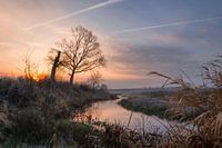 De schoonheid van maart