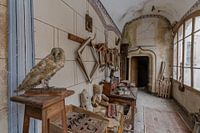 Magnificent hall in an abandoned castle - urbex