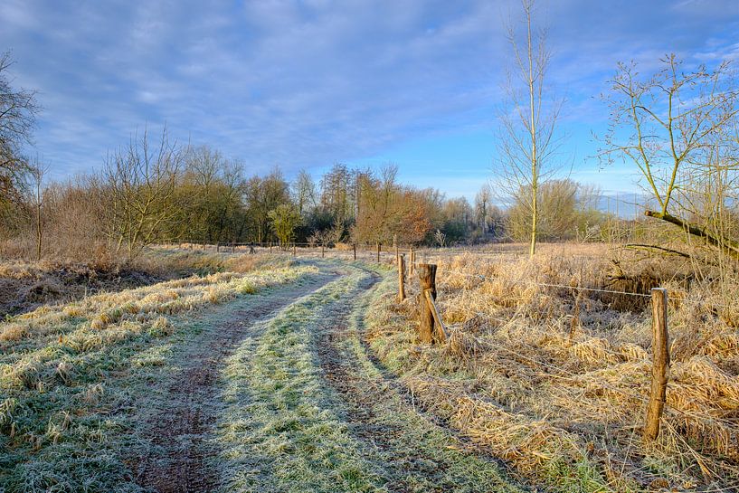 Eingefrorener Wanderweg von Johan Vanbockryck