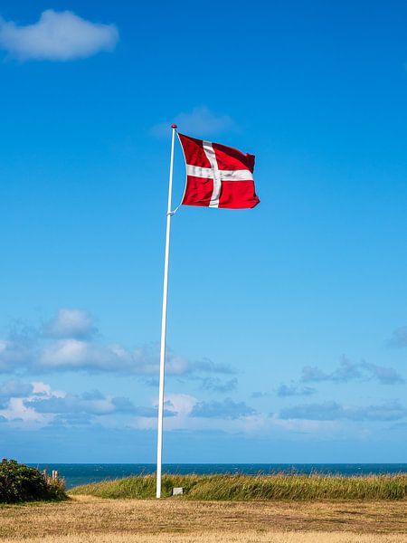 The flag of Denmark with blue sky by Rico Ködder
