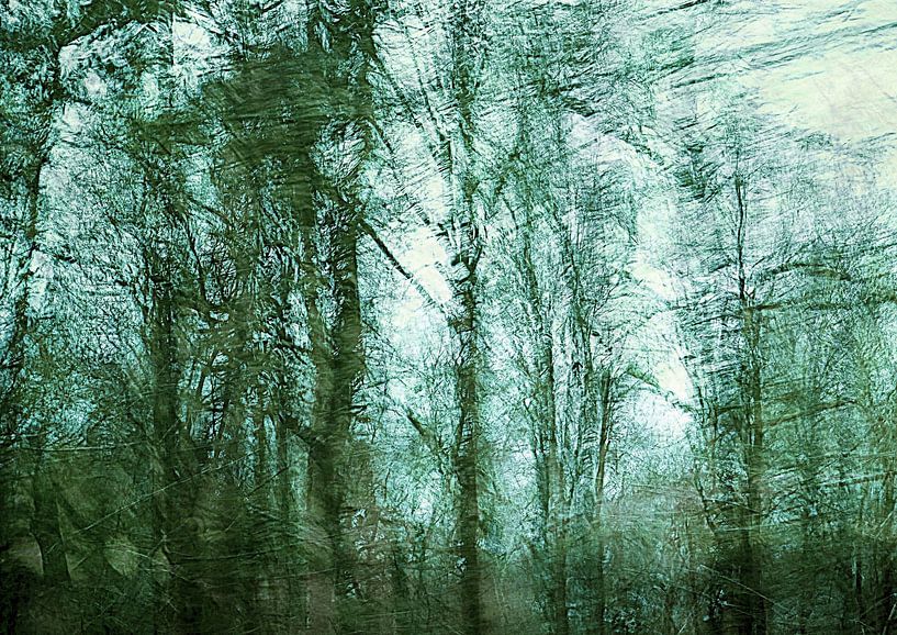 Malen des Lichts von Anita Snik-Broeken