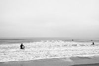 4 surfeurs se jettent à la mer - Zwart wit - La Haye