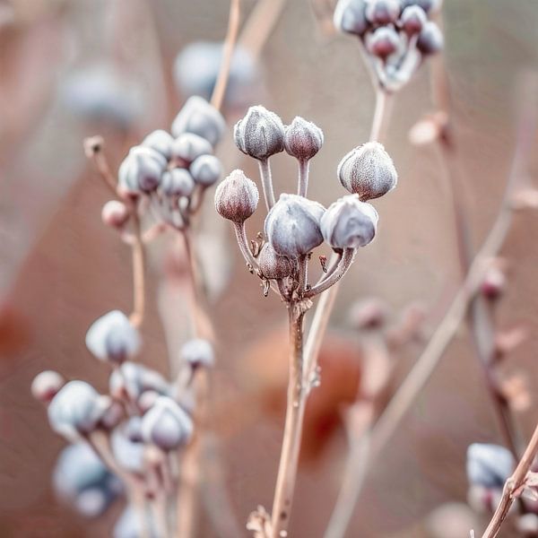 Ruhende Natur von Color Square