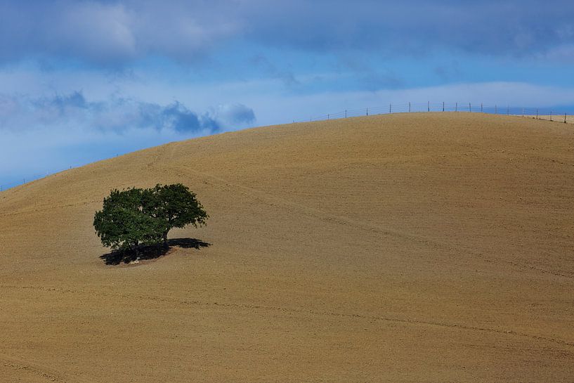 Landschap Minimalisme in Toscane van Steven Dijkshoorn