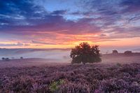 Le paysage de la Posbank au lever du soleil