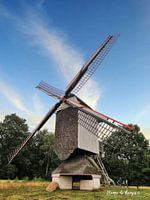 Molen in Bokrijk