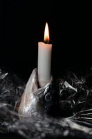 Poisson caillebotis | partie 3