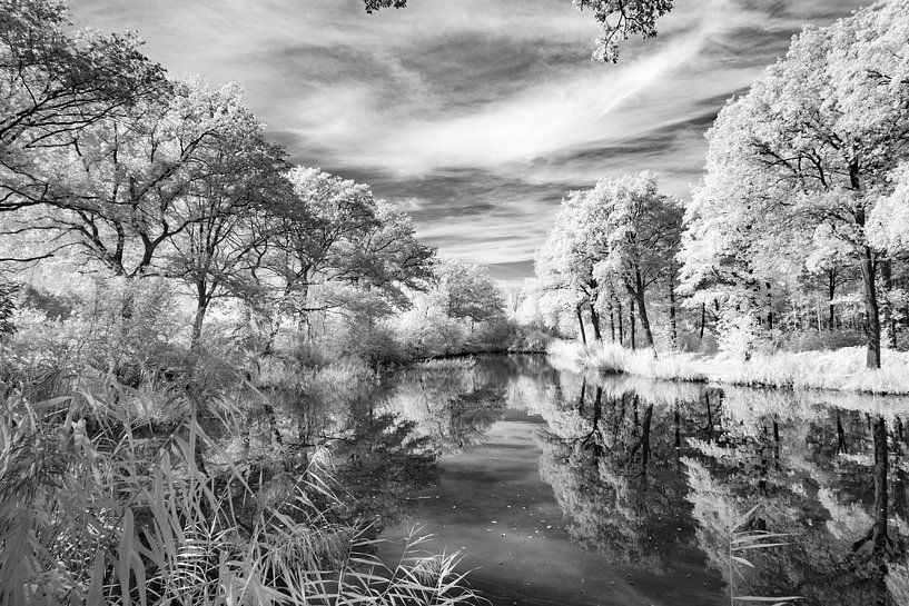 Lake near the Vilt, Beugen Netherlands by Hans Vos Fotografie